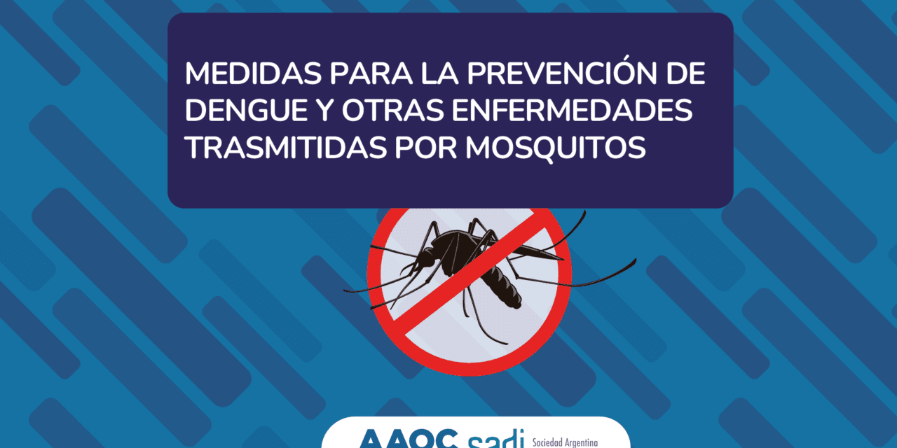 Dengue: medidas de prevención AAOC-SADI